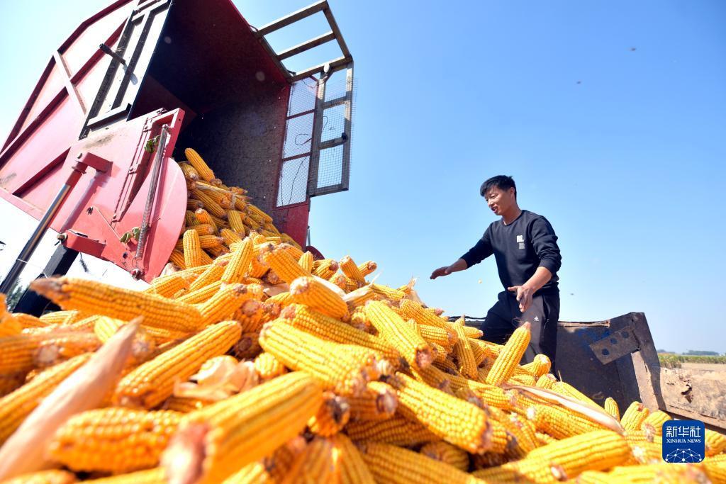 合乐888登录页面